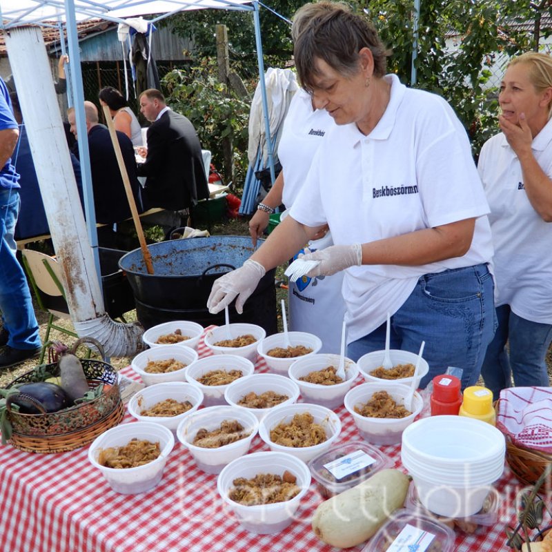 Helyi Értékek Startja 122